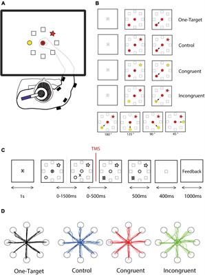 Competition, Conflict and Change of Mind: A Role of GABAergic Inhibition in the Primary Motor Cortex